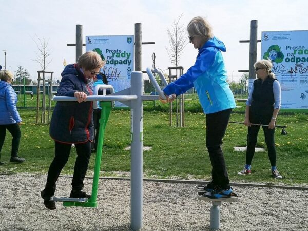 Twister + Ski Trainer OFC-09+10 - Image 2