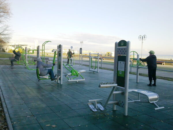Back Trainer OFC-08 - Image 7
