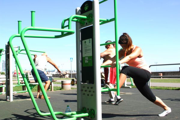 Ladder OFC-03 - Image 7